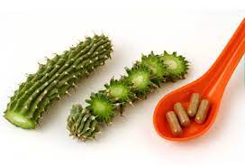 Hoodia Gordonii Extract Vegan Capsules