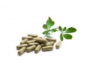 Gynostemma Extract (Jiaogulan) Capsules