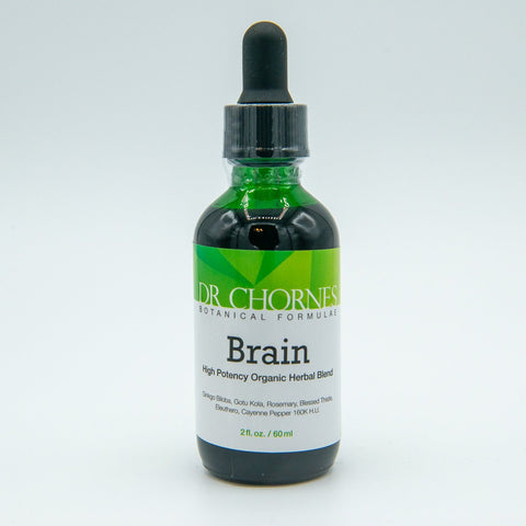 Brain
